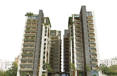 �ϼ���Oriental Saleha Endura