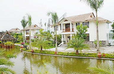 ���ᵺ��Ƶ�