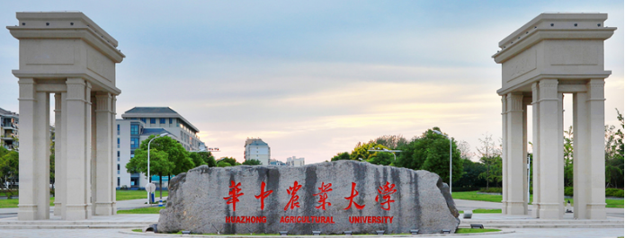 3499��˹ά��˹Я�֡�211����˫һ������У����������У԰�±��